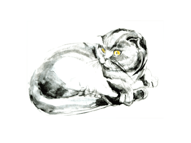 Animals, Original watercolour painting, Chinese ink