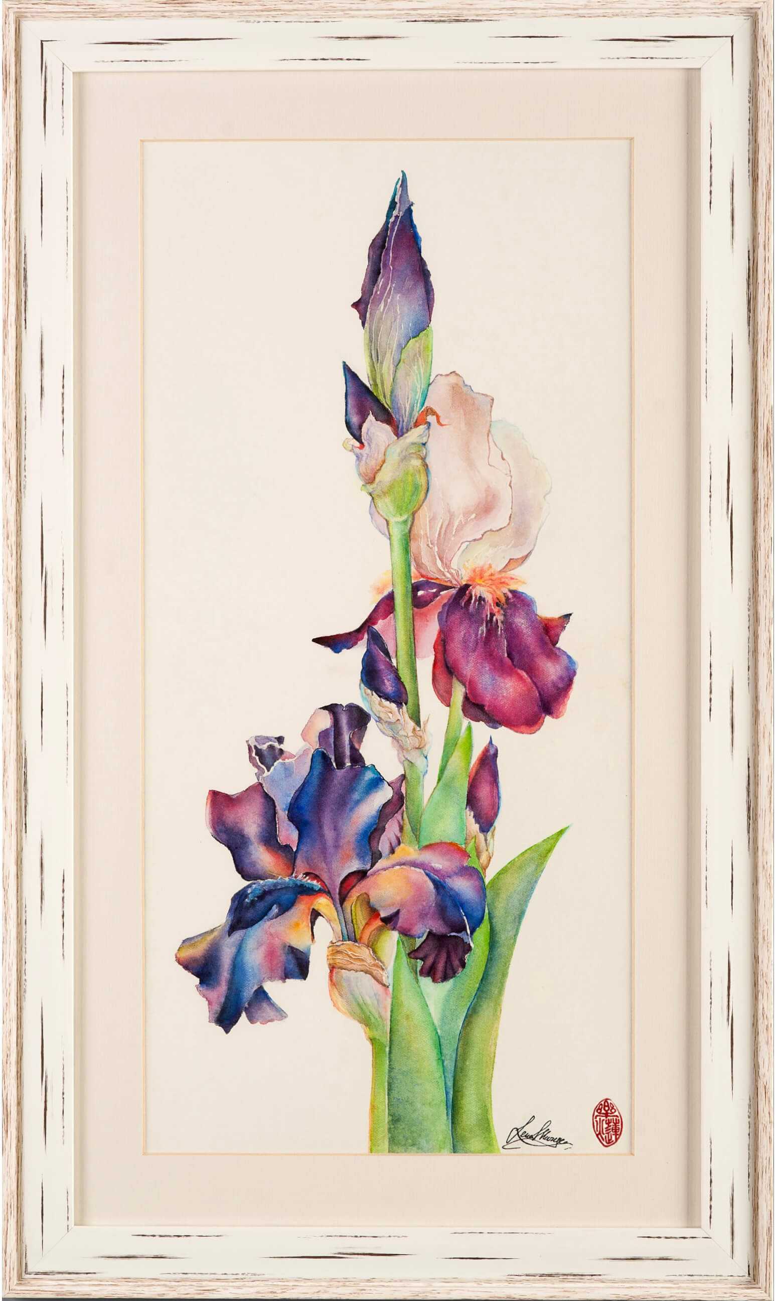 Iris, Original watercolour painting, artist signature, Chinese stamp (seal)